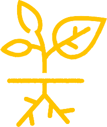 Plant Nutrition Solutions  