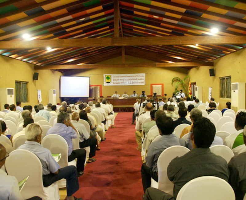 19th Annual General Meeting